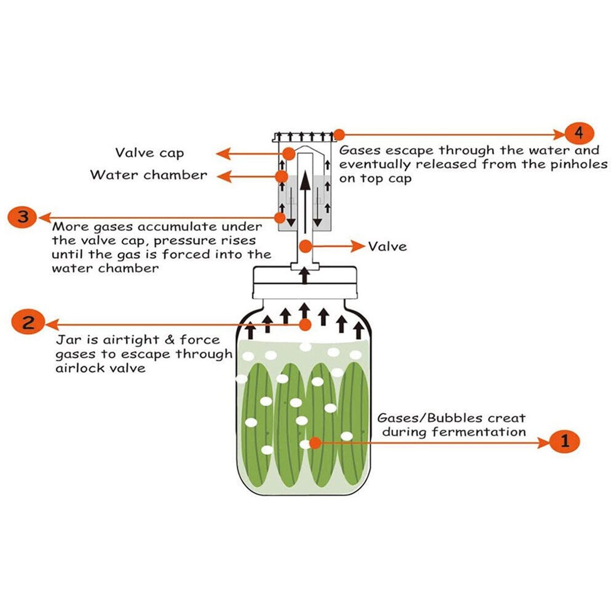 4 szt. pokrywek fermentacyjnyc – Wine Beer Cider recenzja i cena